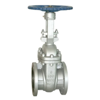 API600 Carbob Steel Flange Ends Gate Valve